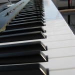 IMG_0105
